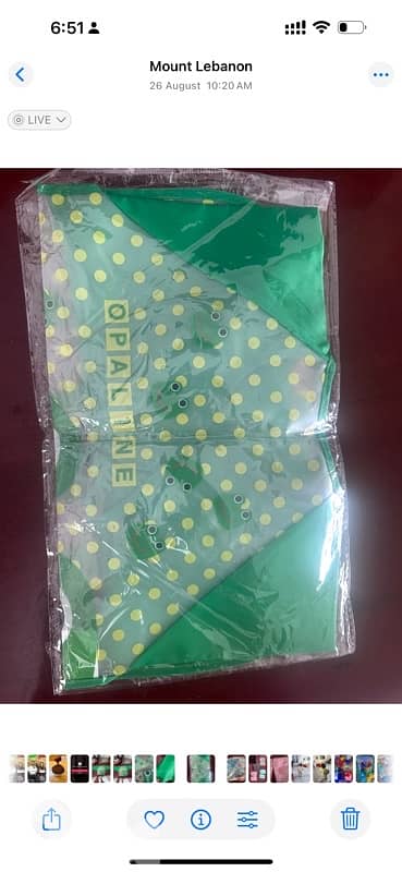 bavette for feeding 4