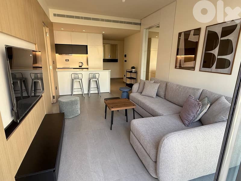 Fully Furnished/Decorated Apartment in Rizk Area for Rent @ 1200/month 0