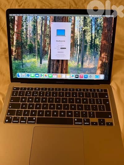 Apple MacBook Air M1 256 gb