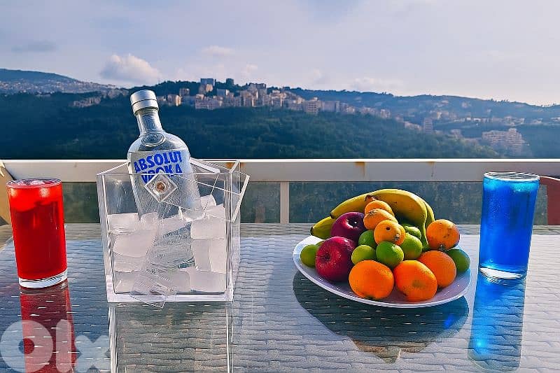 Babelon 3 - Flat at Daychounieh, El Maten 15