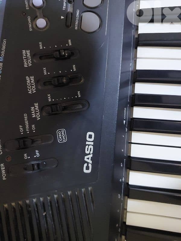 اورج كاسيو ياباني 2