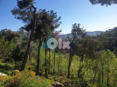 1048m2 land +Mountain View for sale in Baskinta - أرض للبيع في بسكنتا