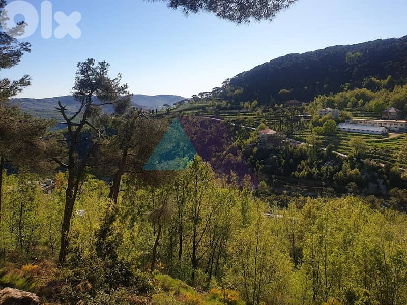1048m2 land +Mountain View for sale in Baskinta - أرض للبيع في بسكنتا 1
