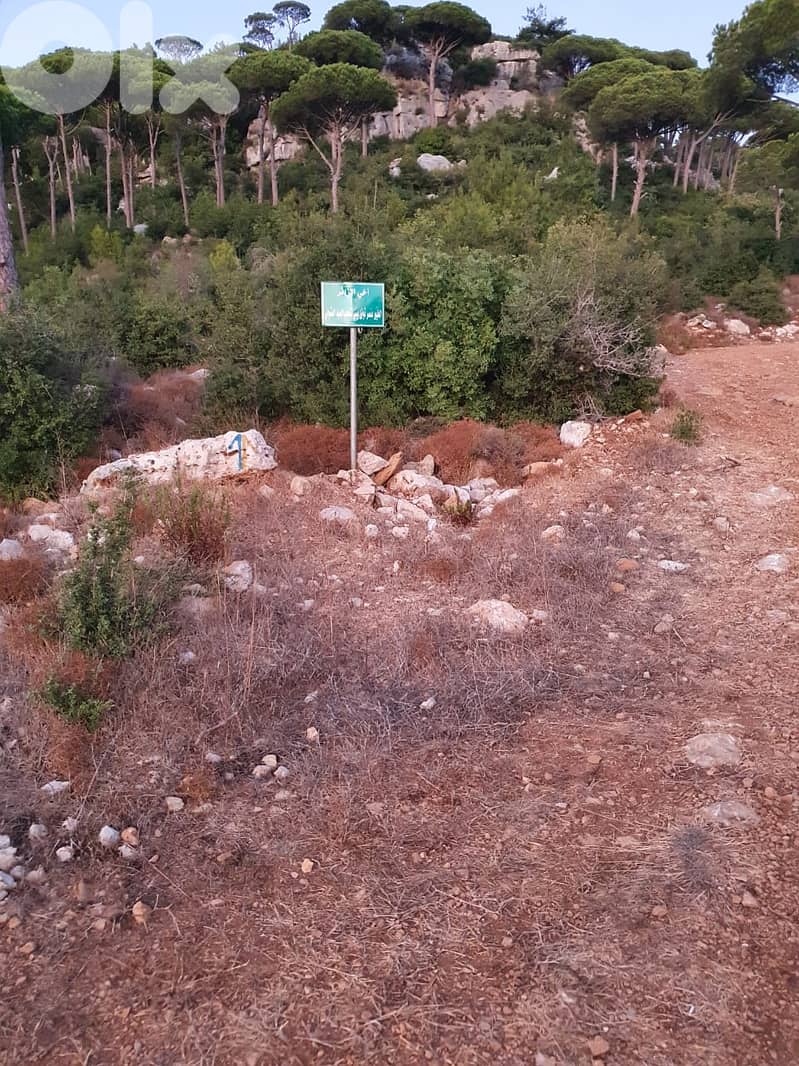 Multiple Lands for Sale in Ras Al Maten –6 Adjacent Plots أراضي متعددة 0