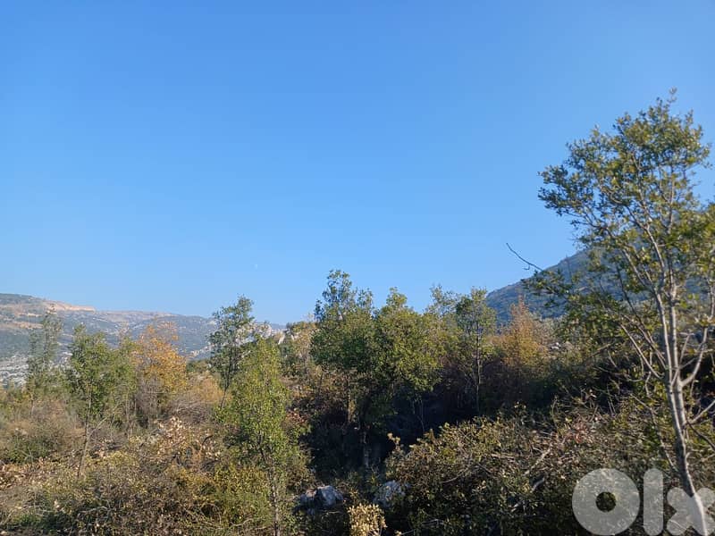 L19610 - Prime Location! 1,290 SQM Land For Sale in Douma 3