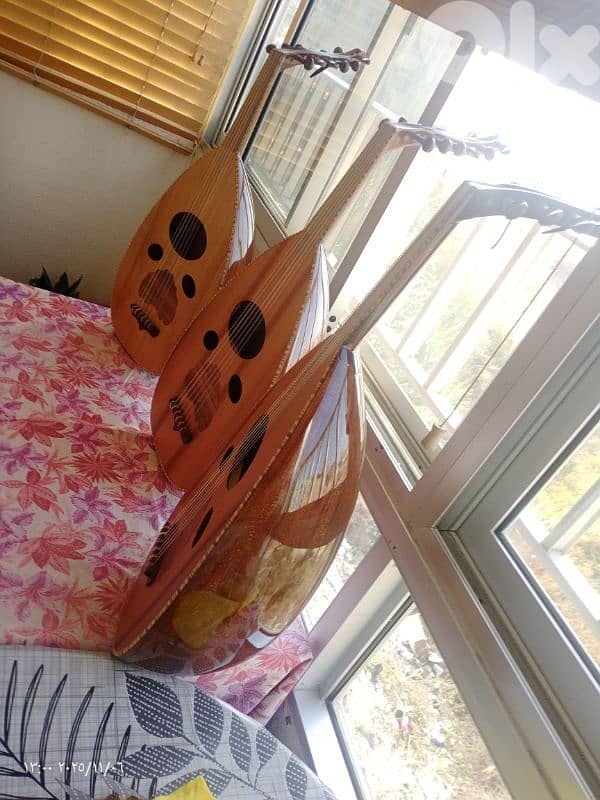 اعواد مميزة بسعر مميز 1