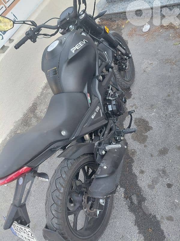 peda moon 250 2
