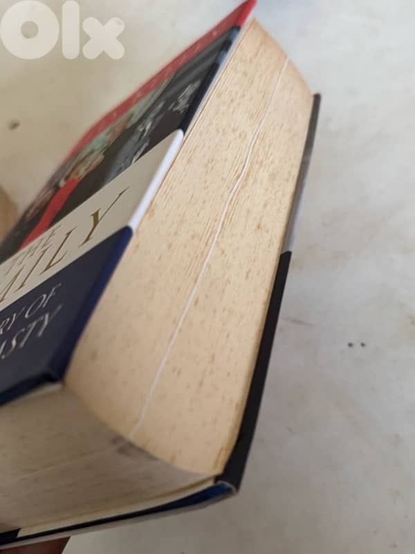 the family the real stoty of the bush dynsasty 1