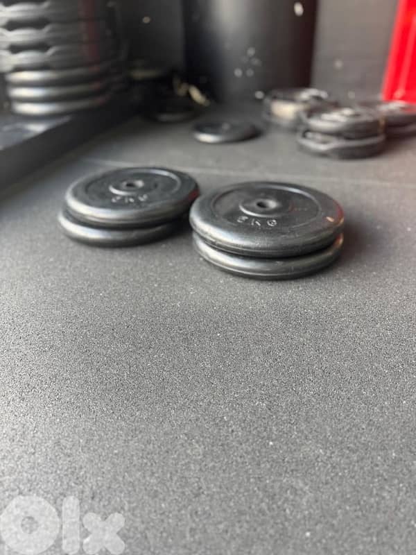 gym plates for sale 2