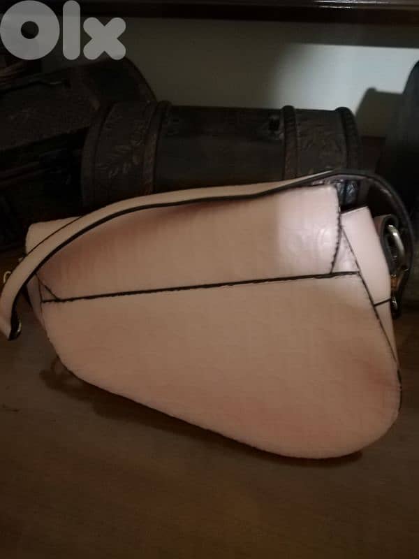Dior bag 1