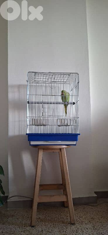 وادي الزينة داوود العلي 6