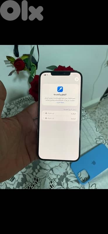 طرابلس دير عمار 4