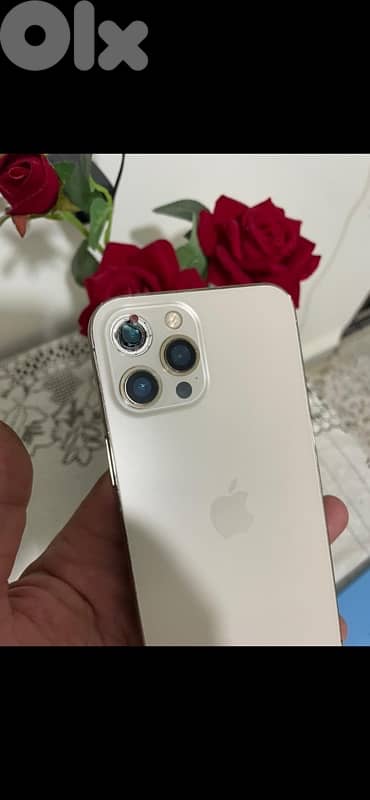 طرابلس دير عمار 5