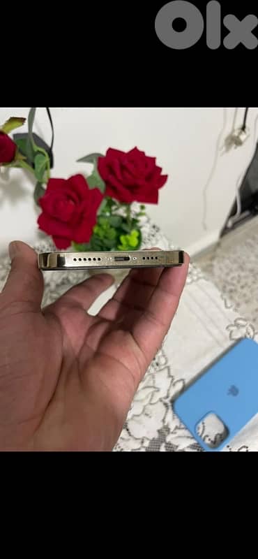 طرابلس دير عمار 8