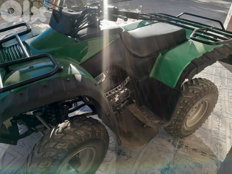 شحيم الشوف 2