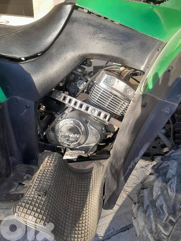 شحيم الشوف 3