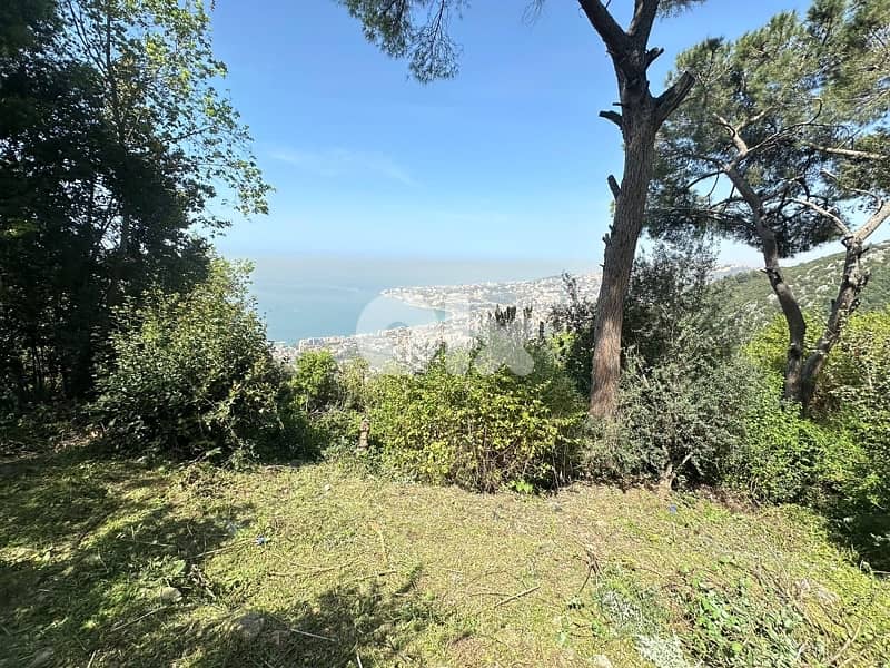land for sale Harissa hot deal 2