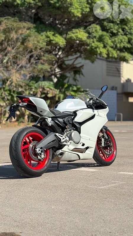 Panigale 899 1