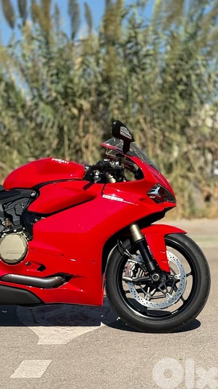 Panigale 1299 final edition 7