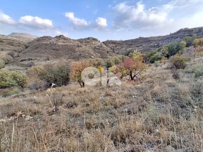 under market price for sale in Laqlouq  عقار لقطة في اللقلوق جبيل