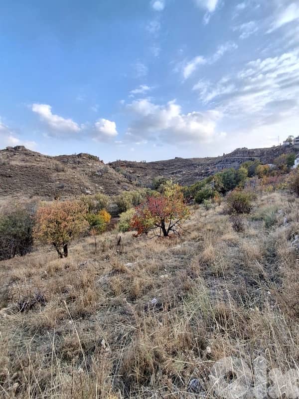 under market price for sale in Laqlouq  عقار لقطة في اللقلوق جبيل 1