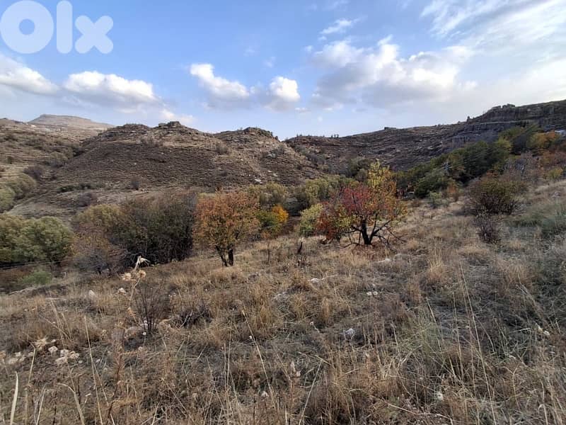 under market price for sale in Laqlouq  عقار لقطة في اللقلوق جبيل 3