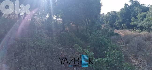 Land for Sale in Gharzouz أرض للبيع في غرزوز