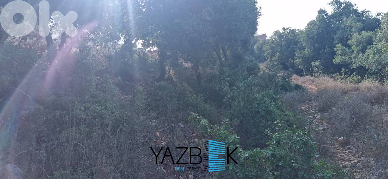 Land for Sale in Gharzouz أرض للبيع في غرزوز 0