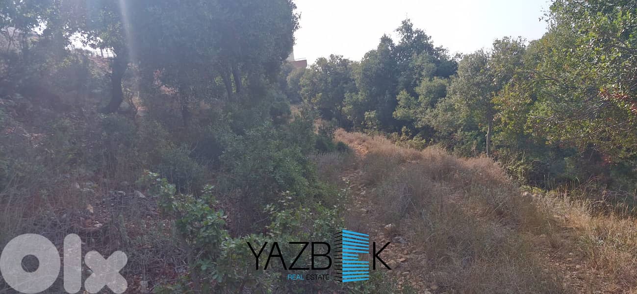 Land for Sale in Gharzouz أرض للبيع في غرزوز 1