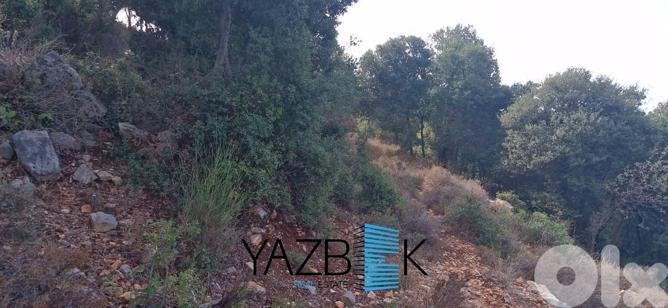 Land for Sale in Gharzouz أرض للبيع في غرزوز 2