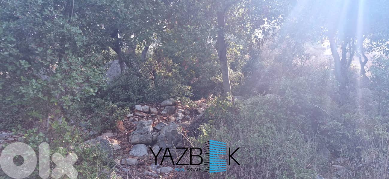 Land for Sale in Gharzouz أرض للبيع في غرزوز 4