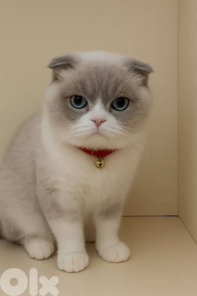 أحلى الأسعار