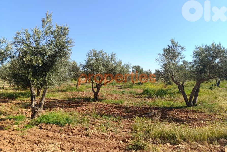 Land For Sale In Kaa  – CPBWW62 3