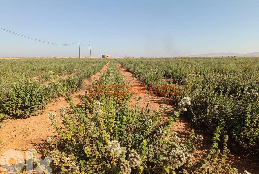 Land For Sale In Kaa  – CPBWW62 5