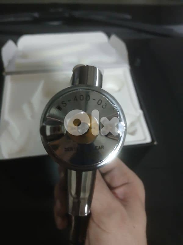 Iwata WS400 Clear فرد رش فرني 2