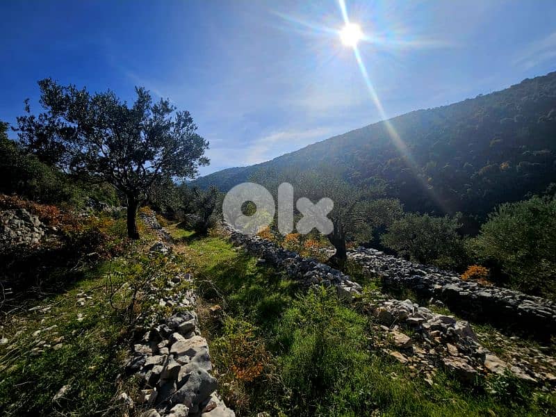 Land | Chebtine Batroun | view villas | ارض في البترون | BJ 0