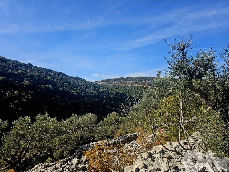 Land | Chebtine Batroun | view villas | ارض في البترون | BJ 1