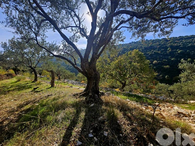 Land | Chebtine Batroun | view villas | ارض في البترون | BJ 2