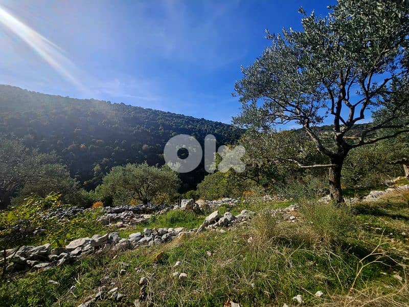 Land | Chebtine Batroun | view villas | ارض في البترون | BJ 3