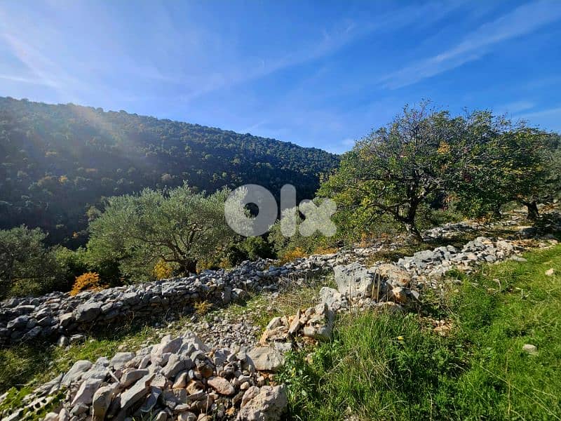 Land | Chebtine Batroun | view villas | ارض في البترون | BJ 4