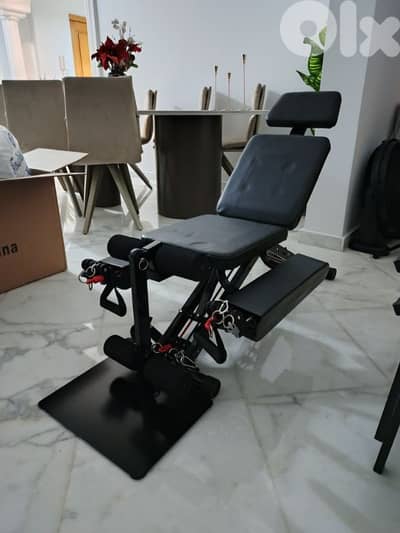 multifunctional adjustable sit-up and leg workout bench