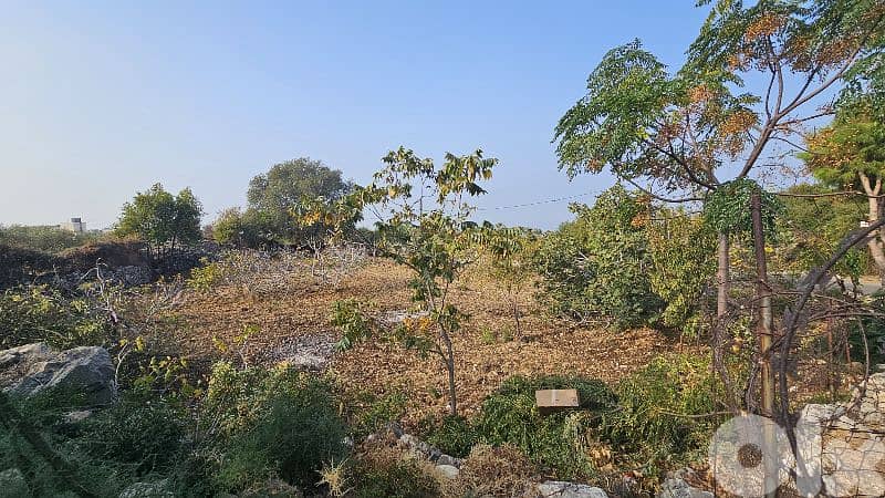 RWB501EA - Land for sale in Monsef Jbeil 1
