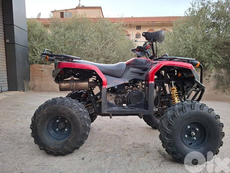 atv 150 cc 3