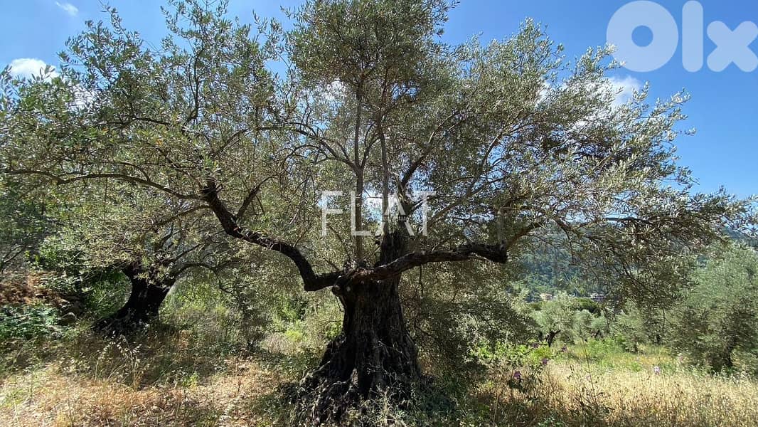 Land for sale in Deir Al Kamar 2