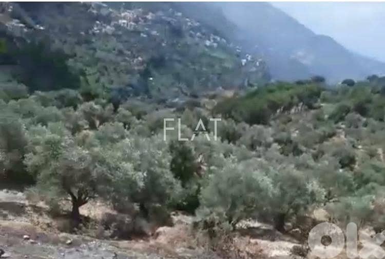 Land for sale in Deir Al Kamar 0