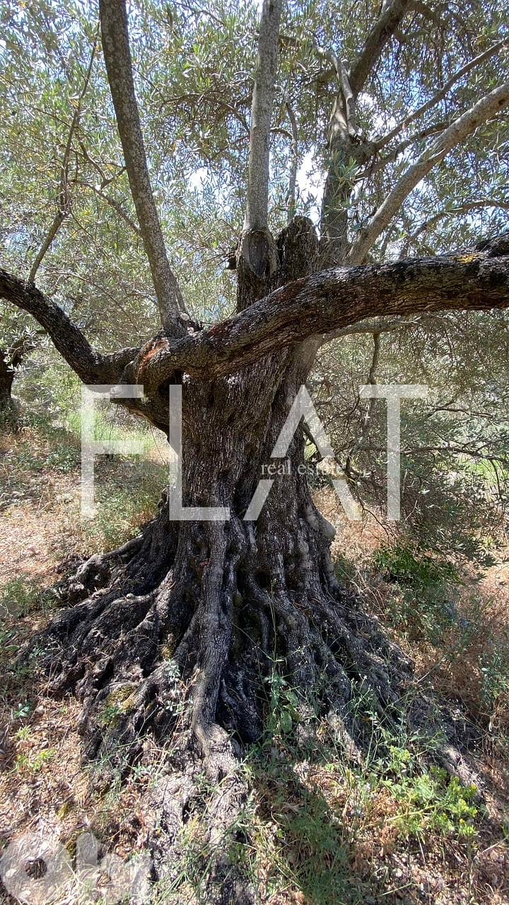 Land for sale in Deir Al Kamar 3