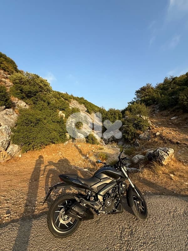 Dominar for selling 0