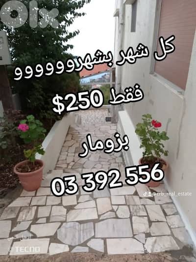 كل شهر بشهرو بزومار مع شوميني و بيت عقد كتير حلو فقط ٢٥٠$