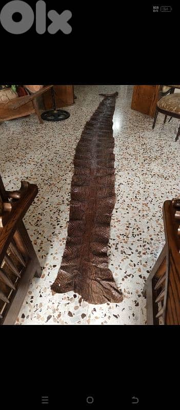 big and huge peace more than 4 meter long for sale 80$ only
