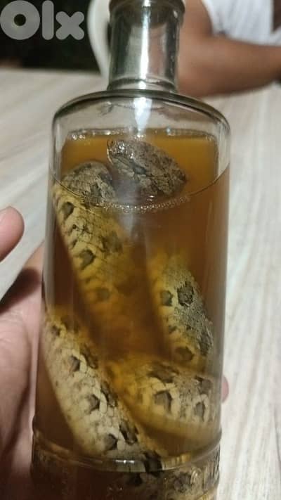 wine snakee for sale, new bottle imported and the snake is real